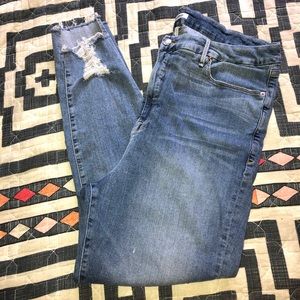 Good American Plus Skinny Jeans